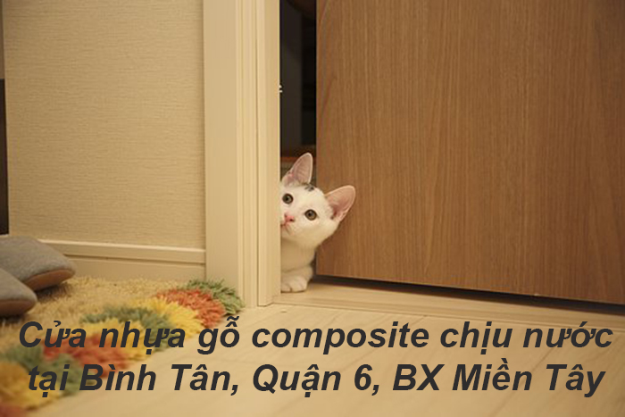 Cửa gỗ công nghiệp – cửa nhựa cao cấp – cửa chống cháy