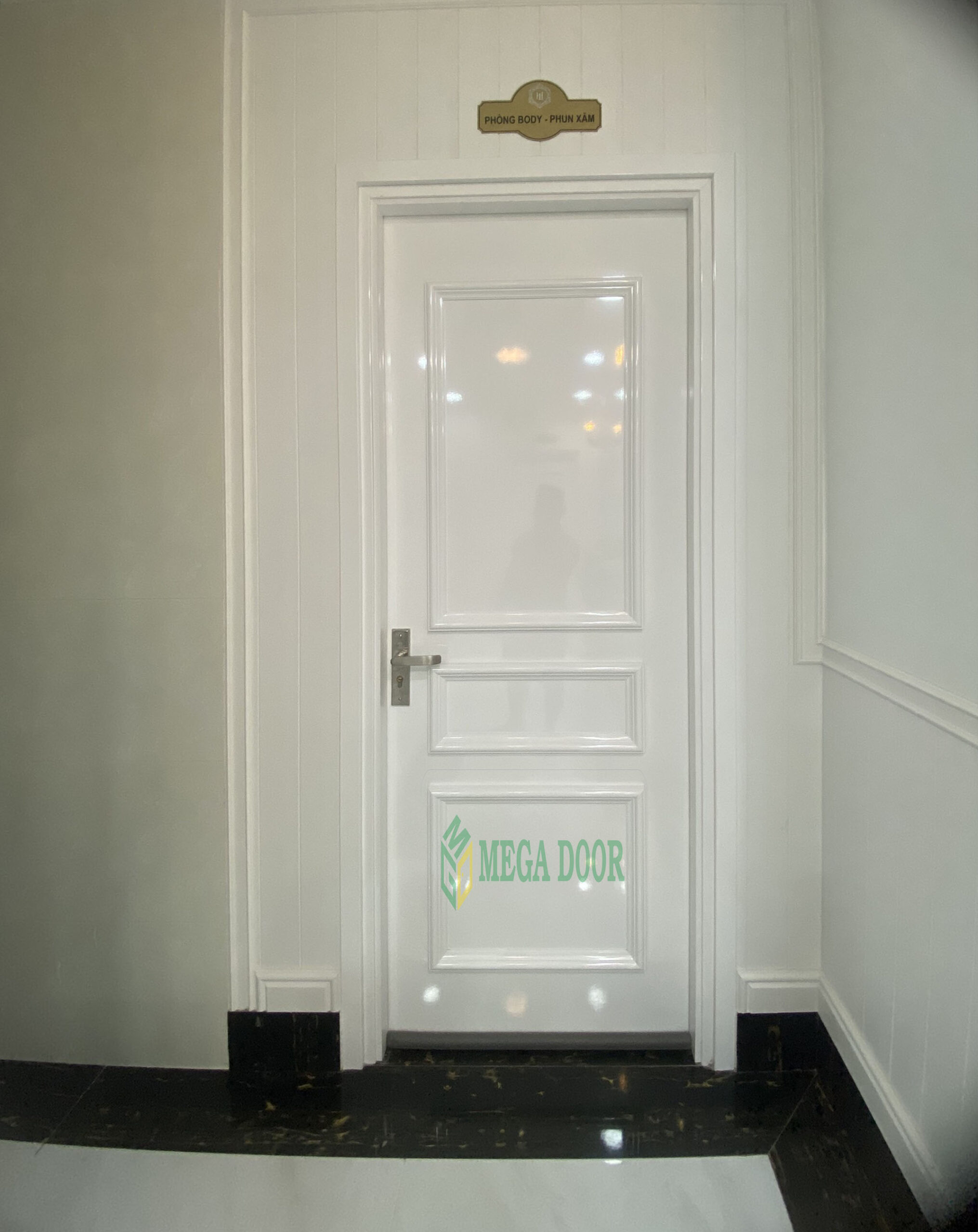 Cửa nhựa composite sơn PU