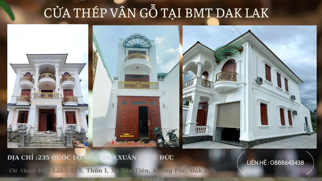 Cửa Thép Vân Gỗ tại BMT Dak Lak – Mẫu cửa hiện đại